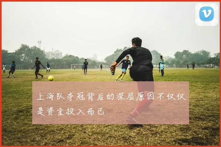 上海队夺冠背后的深层原因不仅仅是资金投入而已